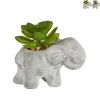 Xenos Kunstplantje in olifantje - diverse varianten - 5.5x9x7 cm- Kunstplanten