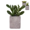 Xenos Kunstplantje in pot met magneet - diverse varianten- Kunstplanten