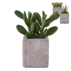 Xenos Kunstplantje in pot met magneet - diverse varianten- Kunstplanten