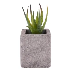 Xenos Kunstplantje in pot met magneet - diverse varianten- Kunstplanten