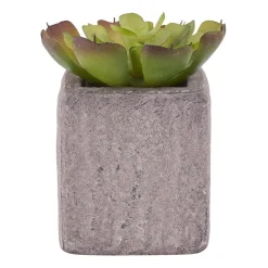 Xenos Kunstplantje in pot met magneet - diverse varianten- Kunstplanten