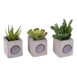 Xenos Kunstplantje in pot met magneet - diverse varianten- Kunstplanten