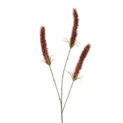 Xenos Kunsttak graan - rood - 63 cm- Kunstbloemen