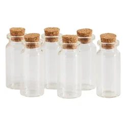 Xenos Mini flesjes met kurk - 6 stuks - 6x10 ml- Knutselspullen|Voorraadpotten