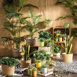 Xenos Palm kunstplant xl - 170 cm- Kunstplanten