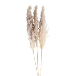 Xenos Pampasgras - 100 cm - set van 3- Kunstbloemen