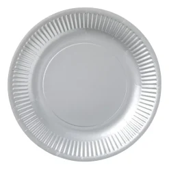 Xenos Papieren bordjes - zilverkleurig - set van 8- Wegwerpservies