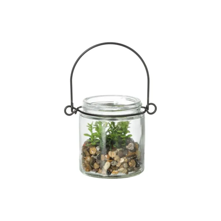 Xenos Plantje in glas - ø6x6.7 cm- Kunstplanten