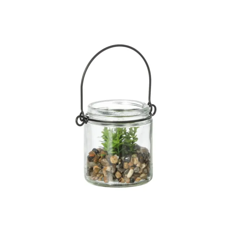 Xenos Plantje in glas - ø6x6.7 cm- Kunstplanten