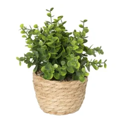 Xenos Plantje in rieten mand - rond blad - ø10x19 cm- Kunstplanten