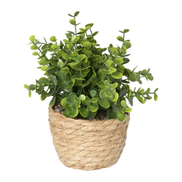 Xenos Plantje in rieten mand - rond blad - ø10x19 cm- Kunstplanten