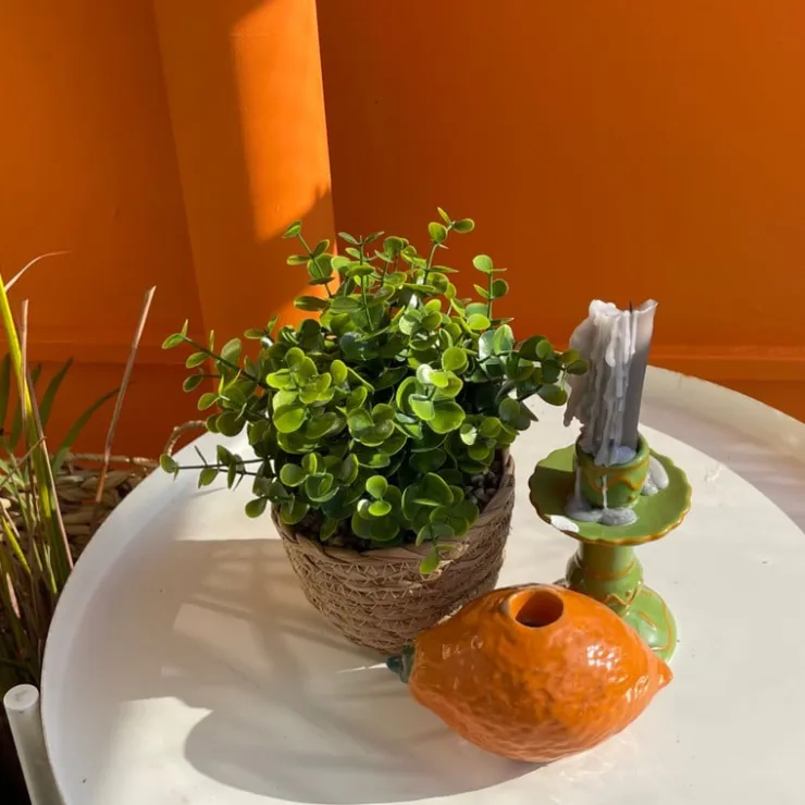 Xenos Plantje in rieten mand - rond blad - ø10x19 cm- Kunstplanten