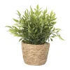 Xenos Plantje in rieten mand - spits blad - ø10x19 cm- Kunstplanten