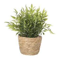 Xenos Plantje in rieten mand - spits blad - ø10x19 cm- Kunstplanten