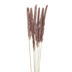 Xenos Pluim smal - 6 stuks - 70 cm- Kunstbloemen