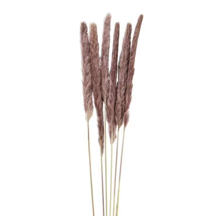 Xenos Pluim smal - 6 stuks - 70 cm- Kunstbloemen