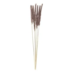 Xenos Pluim smal - 6 stuks - 70 cm- Kunstbloemen