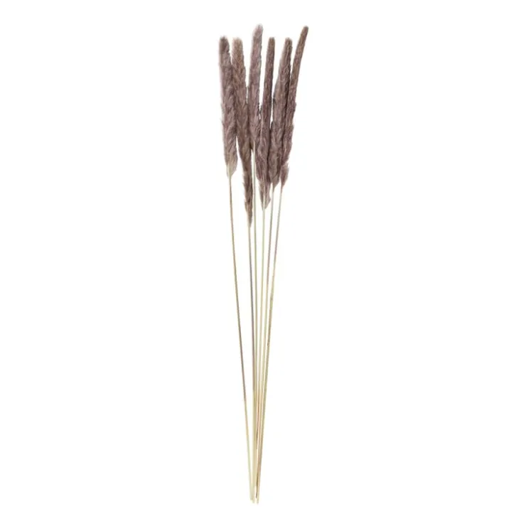 Xenos Pluim smal - 6 stuks - 70 cm- Kunstbloemen