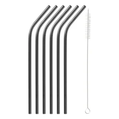 Xenos Rietjes RVS - zwart - set van 6- Rietjes