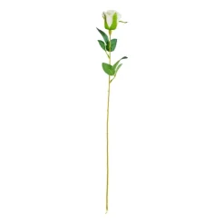 Xenos Roos wit - 56 cm- Kunstbloemen