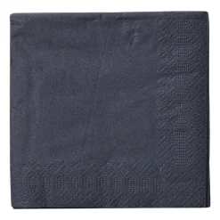 Xenos Servetten zwart - 24x24 cm - set van 20- Papieren Servetten|Servetten