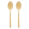 Xenos Theelepels - goudkleurig - set van 2- Lepels