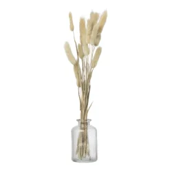 Xenos Vaasje mini - transparant - ø6.5x10 cm - diverse varianten- Vazen|Vazen