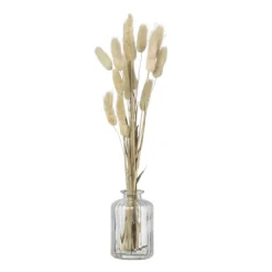 Xenos Vaasje mini - transparant - ø6.5x10 cm - diverse varianten- Vazen|Vazen