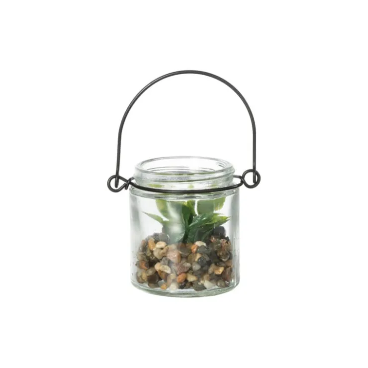 Xenos Vetplantje in glas - ø6x6.7 cm- Kunstplanten