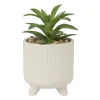 Xenos Vetplantje in pot - beige - ø8x15 cm- Kunstplanten