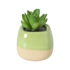 Xenos Vetplantje in pot - oranje - 8x6.5x6.5 cm- Kunstbloemen
