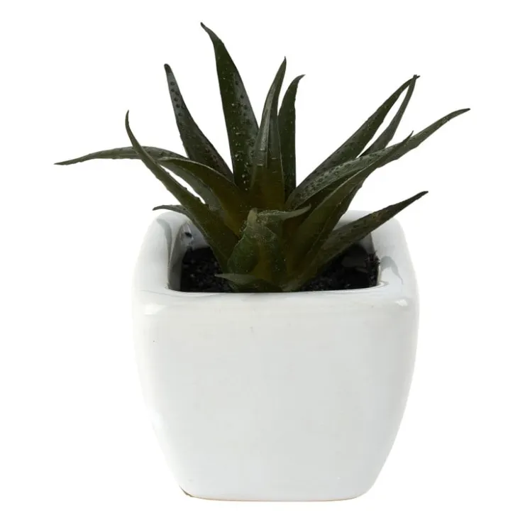 Xenos Vetplantjes - klein in pot - diverse varianten- Kunstplanten