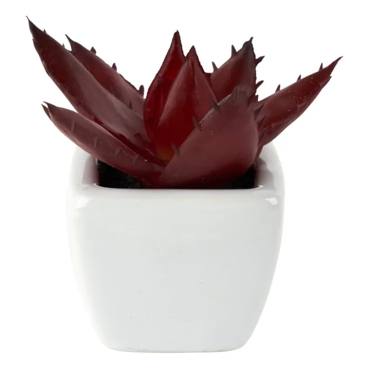 Xenos Vetplantjes - klein in pot - diverse varianten- Kunstplanten