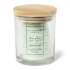 Xenos Waxmelts in pot - green water - set van 6- Waxmelts