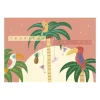 Xenos Wenskaart exotic - tropical birthday- Wenskaarten