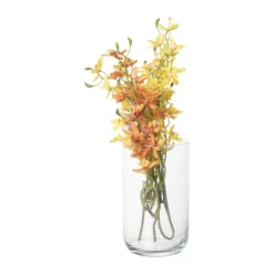 Xenos Windlicht - glas - ø13x21 cm- Lantaarns