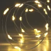 Xenos Zilverdraad verlichting met 40 LED lampjes - warm wit - 1.95 meter- Kerstverlichting|Kerstboom Verlichting